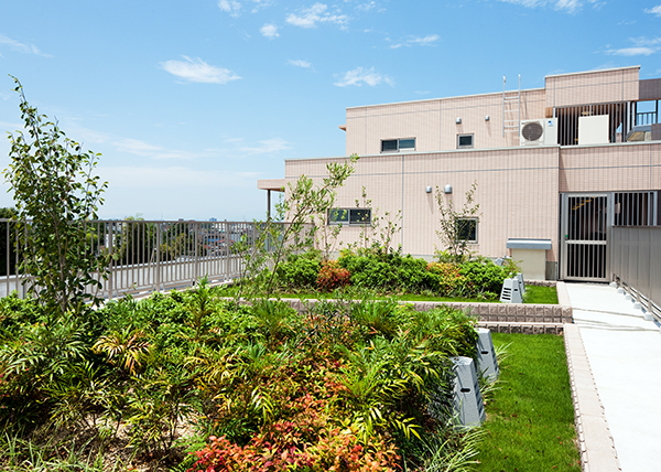 ゴールドエイジ 藤沢