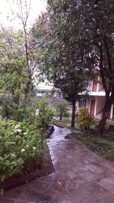 Photos of Hotel Holy Shiva
