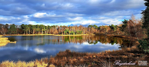 Beegderheide - Visual