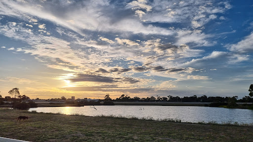 Horsham Racecourse - Thumbnail