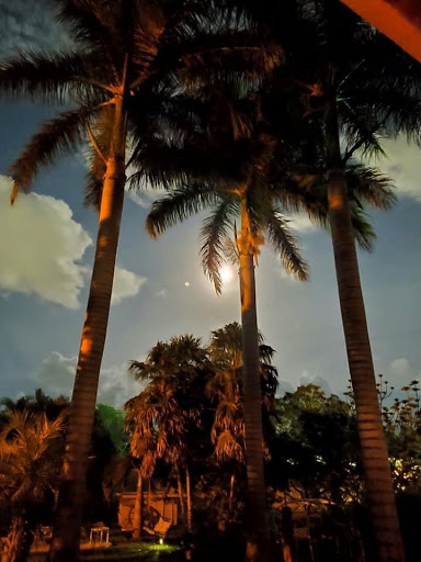 Hogar Cristal Cancun