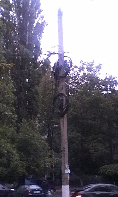 Photos of Cuza Voda Park