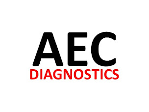 Photo n°2 de AEC Diagnostics à Estoublon (Centre de diagnostic)