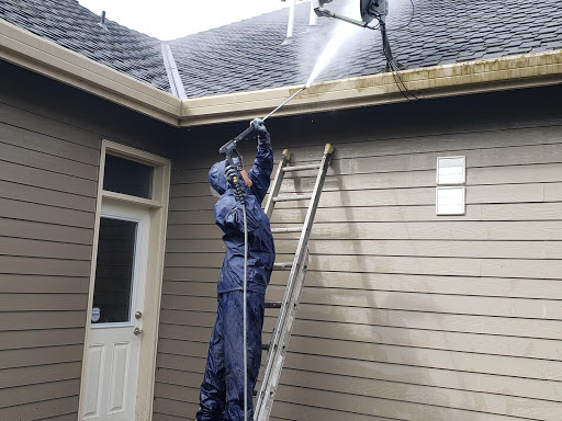 Hernandez Professional Painting - Thumbnail