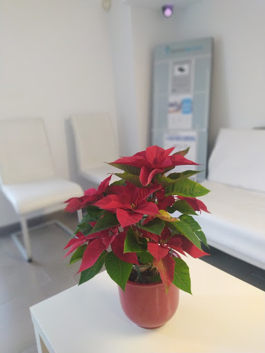 Centre Serrano - Visual