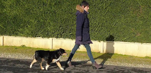 Photo n°2 de Atelier canin de Fontaine à Fontaine-la-Guyon (Dresseur pour chiens)