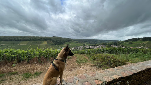 Hill of Corton - Thumbnail