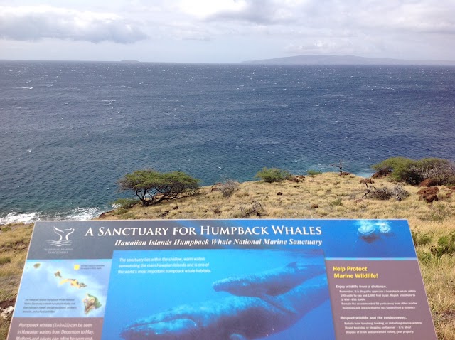 Hanauma Bay Nature Preserve