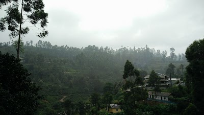 Photos of Bearwell Resort
