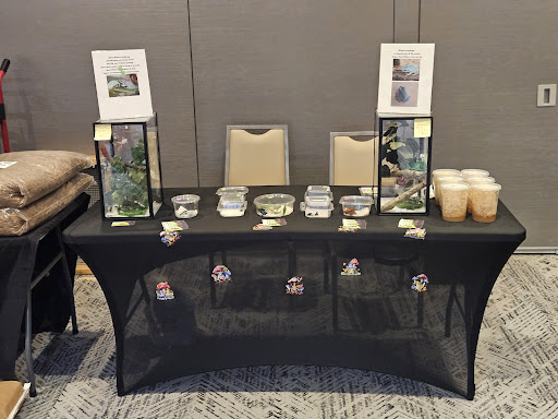 D&J Exotics
