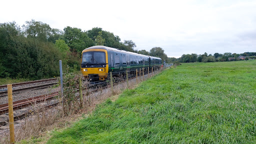 Bedwyn - Visual