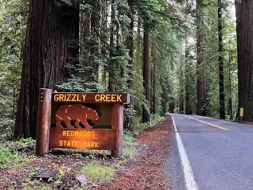 Grizzly Creek Redwoods State Park - Thumbnail