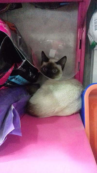 Photos of Veterinaria El Trebol
