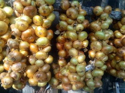 Photos of Farma Altin Osecke