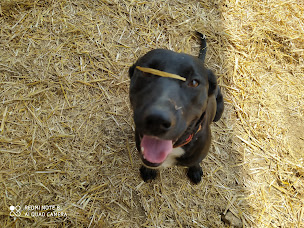 Photo n°1 de Earl Bois le Vin à Civrieux (Ferme d'élevage)