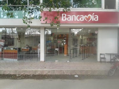 bank