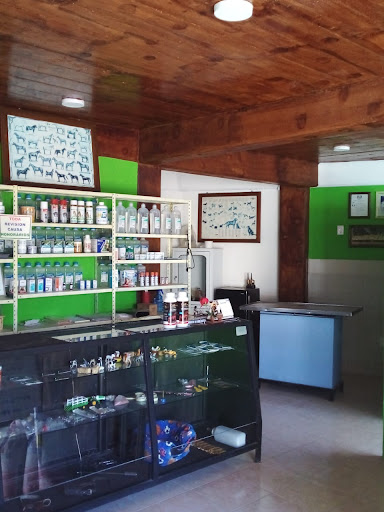Servicios Veterinarios "VETEQ" Gallery - Mexico