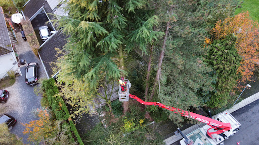DG-Service Baggerbetrieb - Thumbnail