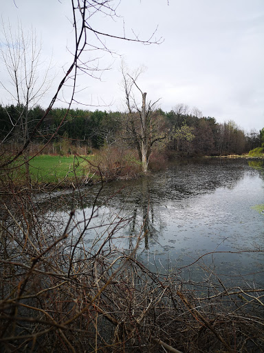 Dorchester Conservation Area - Thumbnail