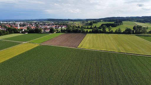 Markt Erkheim - Visual