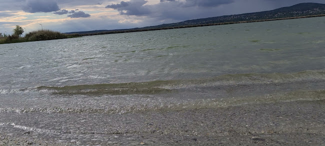 Értékelések erről a helyről: TóParty Strand és Kemping, Gárdony - Gyógyfürdő