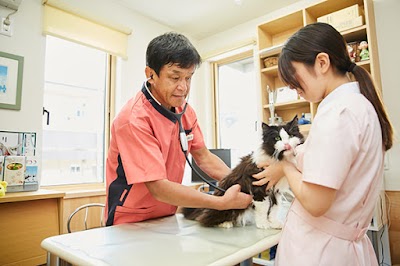 Photos of Miyagi Cat Clinic