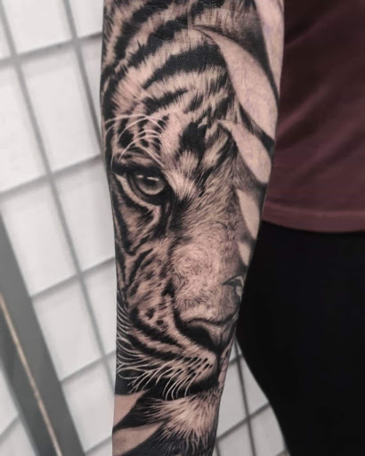 Perception Ink - Visual
