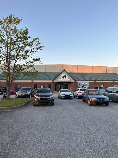 Silverbacks Indoor - Visual
