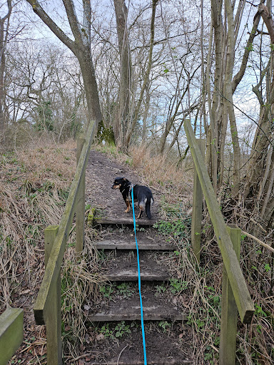 Devils Dyke Start - Visual