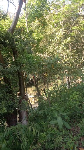 Río francés - Visual