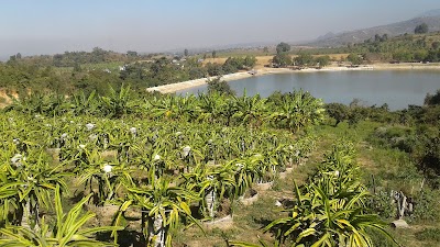 Photos of Pleasant Garden-Nyaung Shwe Coffee House