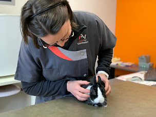 Photo n°5 de Clinique vétérinaire Castelvet à Bresles (Vétérinaire)