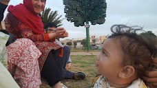 Pigeon cages rawalpindi