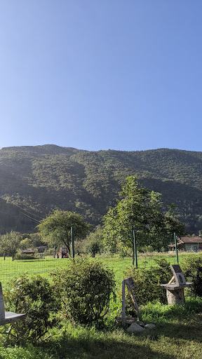 Park camelie - Thumbnail