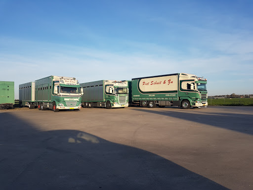 Fa. Piet Schuit en Zn. Vee- en bloembollen transport - Thumbnail