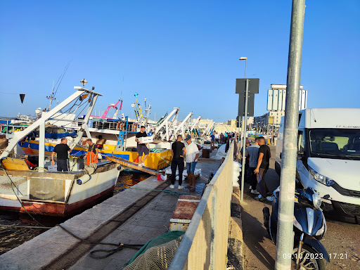 Fischereihafen - Visual
