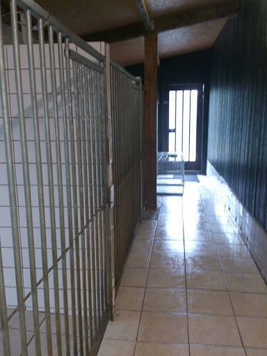 Dierendroom/Banjer Pension - Thumbnail