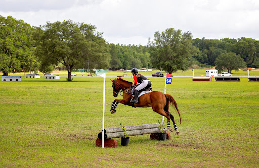 Hanover Stables - Visual