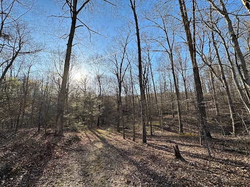 Knobs State Forest and WMA - Visual