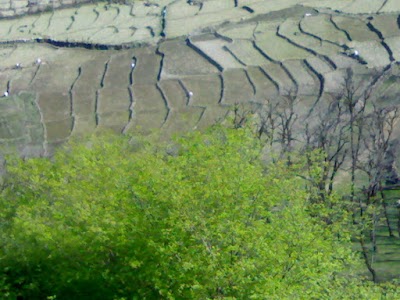 Photos of آستان مبارک امامزاده جعفر(ع)