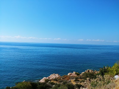 Mediterranean Monk Seal Habitat