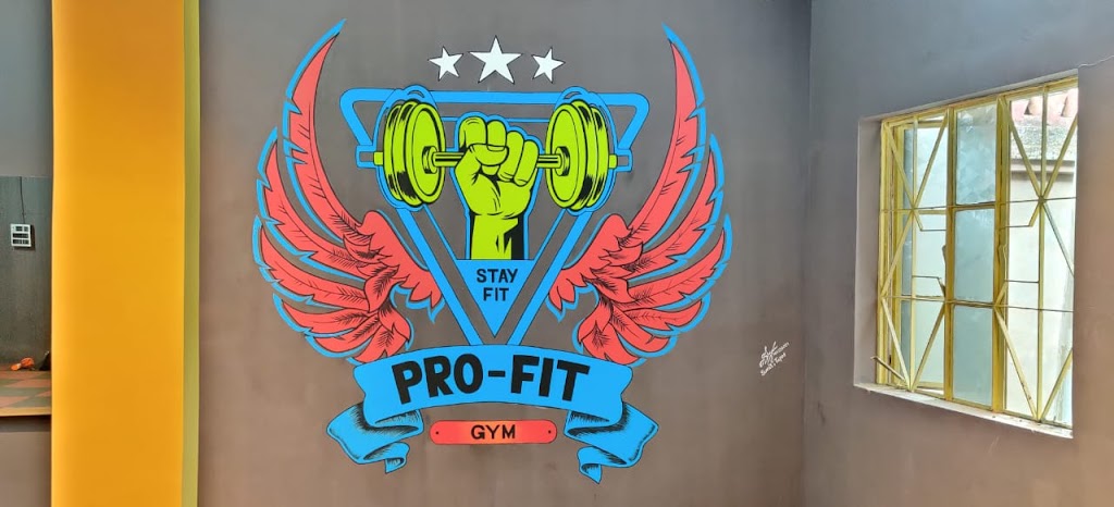 Pro Fit Gym