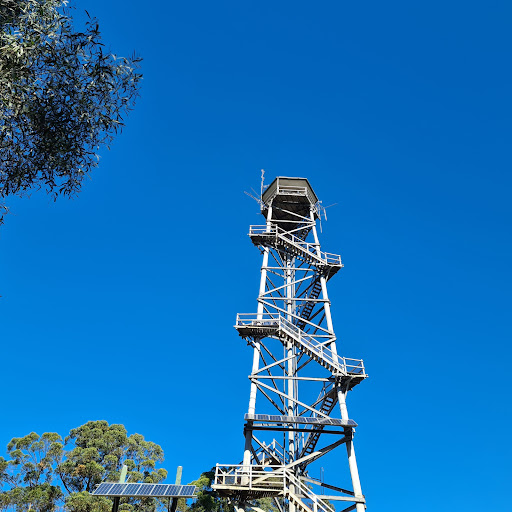Benarkin State Forest - Visual