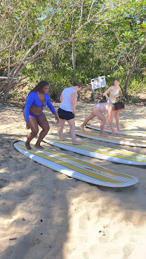 Surfing Lessons Puerto Rico by null