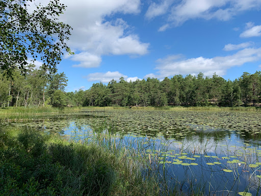 Skarpnäs Nature Reserve - Thumbnail