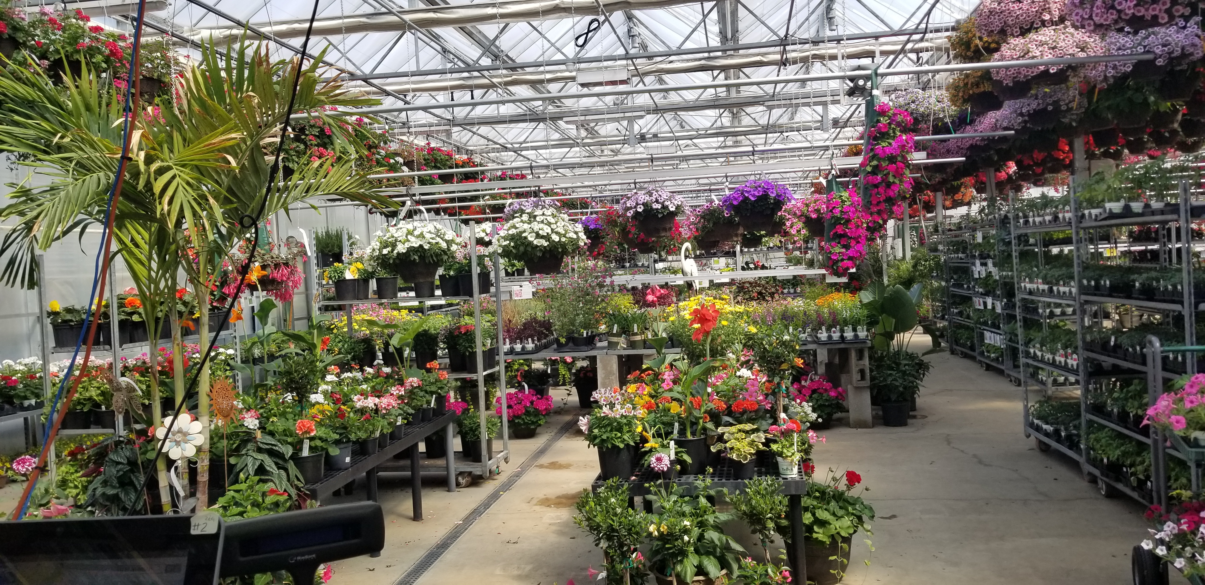 Telly's Greenhouse and Garden Center