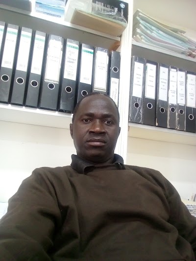 Photos of Histological palm plantation