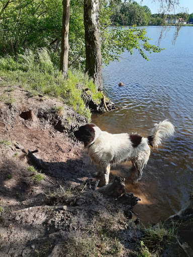 Veterinarians at Finkenberg - Thumbnail