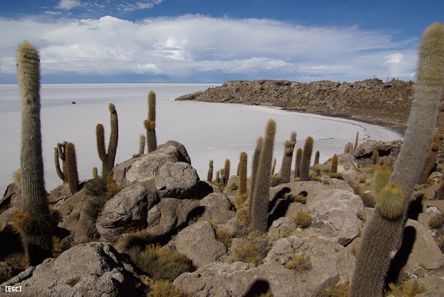 Salar de Uyuni