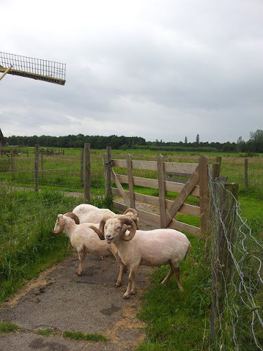 Stichting Streekcentrum Ooievaarsdorp Liesvelt - Thumbnail